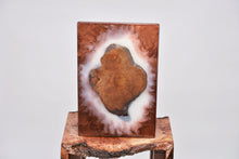 Load image into Gallery viewer, Creative holm oak wood slice wall Art Decor and light, handcrafted, wall hanging, Epoxy resin art