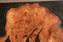 Load image into Gallery viewer, Large burl Scottish Elm engraving with black resin wall art decor.