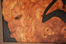 Load image into Gallery viewer, Large burl Scottish Elm engraving with black resin wall art decor.