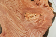 Load image into Gallery viewer, Mint resin with Scottish Elm wooden coffee table