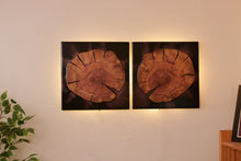 Load image into Gallery viewer, Two Plum wood slices wall Art Decor and light, handcrafted, wall hanging, resin art.