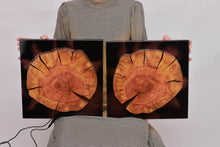 Load image into Gallery viewer, Two Plum wood slices wall Art Decor and light, handcrafted, wall hanging, resin art.