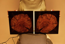 Load image into Gallery viewer, Two Plum wood slices wall Art Decor and light, handcrafted, wall hanging, resin art.
