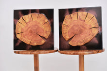 Load image into Gallery viewer, Two Plum wood slices wall Art Decor and light, handcrafted, wall hanging, resin art.