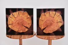 Load image into Gallery viewer, Two Plum wood slices wall Art Decor and light, handcrafted, wall hanging, resin art.