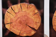 Load image into Gallery viewer, Two Plum wood slices wall Art Decor and light, handcrafted, wall hanging, resin art.