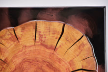 Load image into Gallery viewer, Two Plum wood slices wall Art Decor and light, handcrafted, wall hanging, resin art.