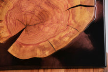Load image into Gallery viewer, Two Plum wood slices wall Art Decor and light, handcrafted, wall hanging, resin art.