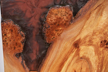 Load image into Gallery viewer, Pippy Elm Wall Art Decor and light, handcrafted, wall hanging, resin art.