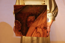 Load image into Gallery viewer, Pippy Elm Wall Art Decor and light, handcrafted, wall hanging, resin art.