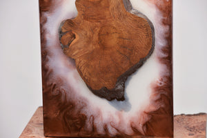 Creative holm oak wood slice wall Art Decor and light, handcrafted, wall hanging, Epoxy resin art