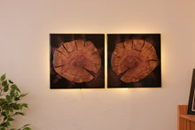 Charger l&#39;image dans la visionneuse de la galerie, Two Plum wood slices wall Art Decor and light, handcrafted, wall hanging, resin art.
