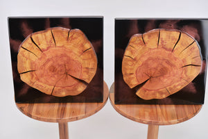 Two Plum wood slices wall Art Decor and light, handcrafted, wall hanging, resin art.
