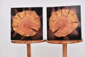 Two Plum wood slices wall Art Decor and light, handcrafted, wall hanging, resin art.
