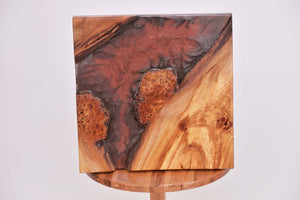 Pippy Elm Wall Art Decor and light, handcrafted, wall hanging, resin art.